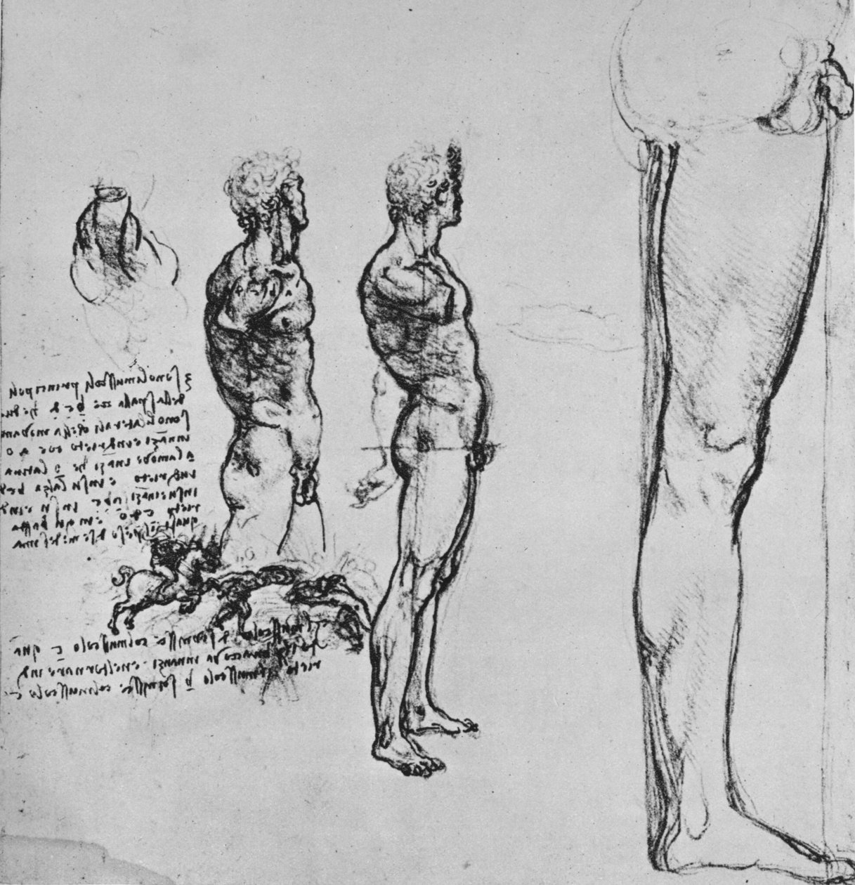 Studier av nakenbilder och mindre skiss av ett slag, c1480 1945 av Leonardo da Vinci
