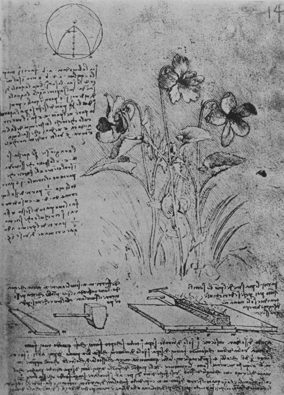 Studier av violor och metoder för lödning av blytak, c1480 1945 av Leonardo da Vinci