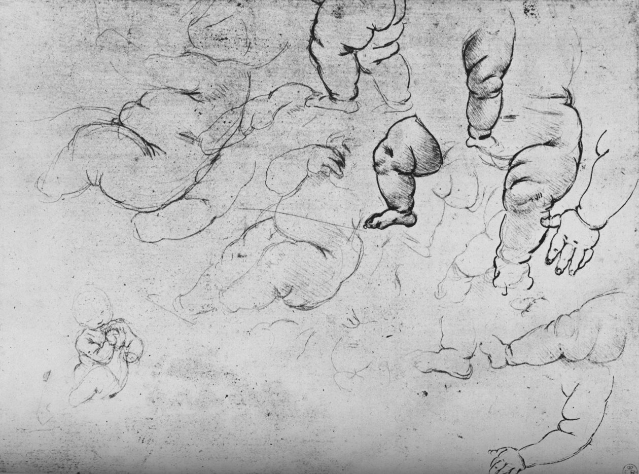 Studier av ett barn, c1490 1945 av Leonardo da Vinci