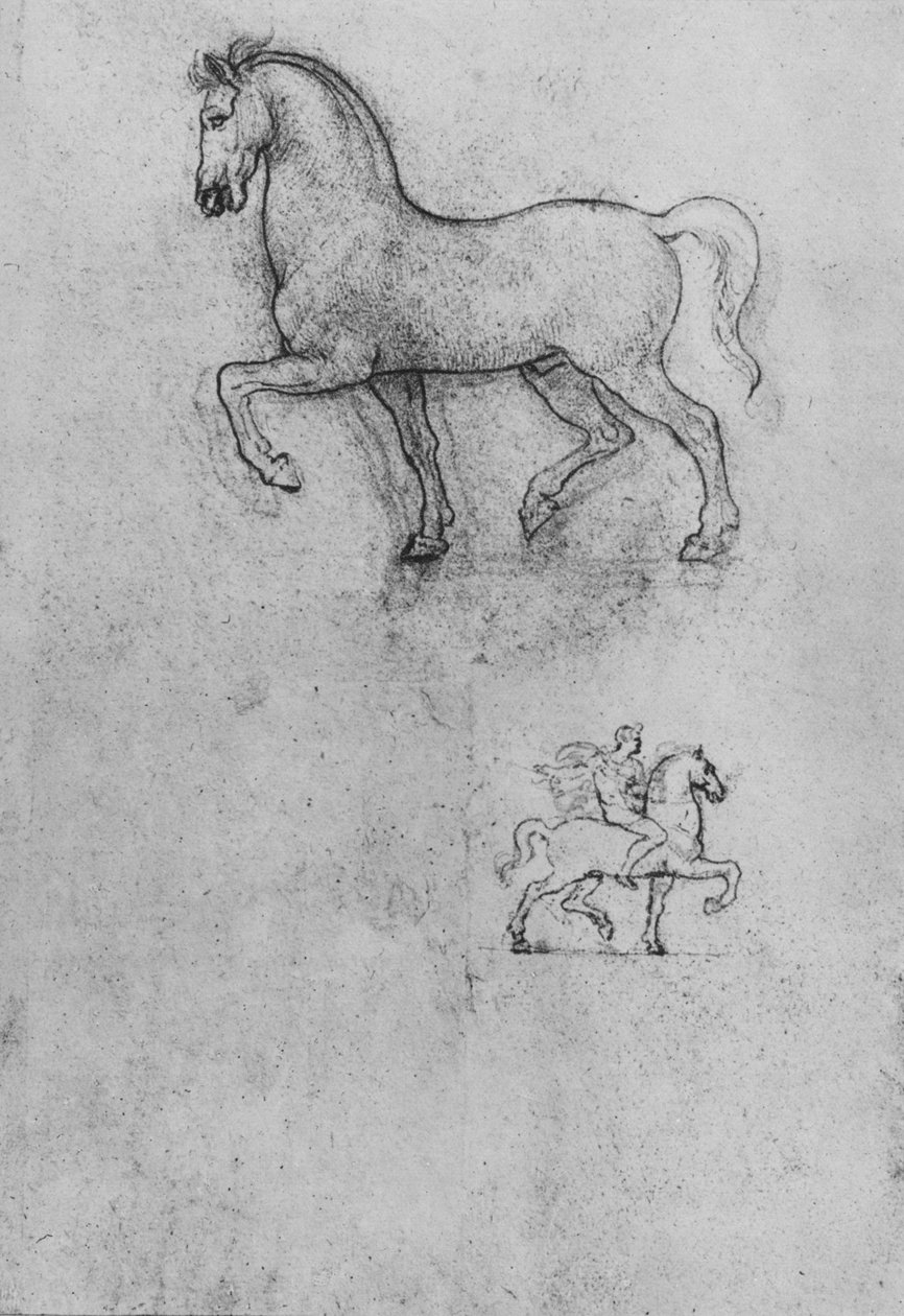 Studier av en häst och en av en häst och ryttare, c1480 1945 av Leonardo da Vinci
