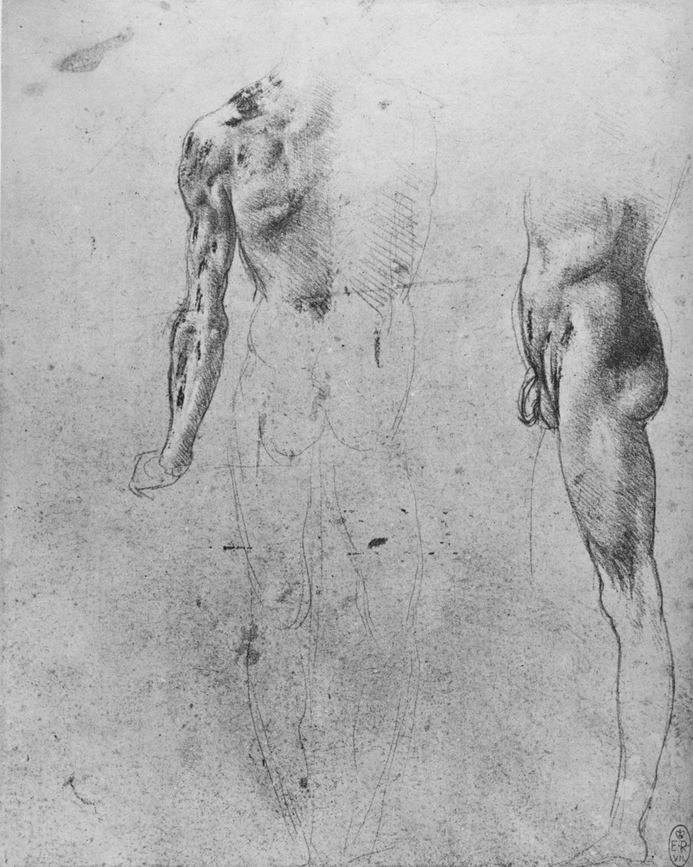 Studier av en naken man sedd från baksidan och från sidan, c1480 1945 av Leonardo da Vinci