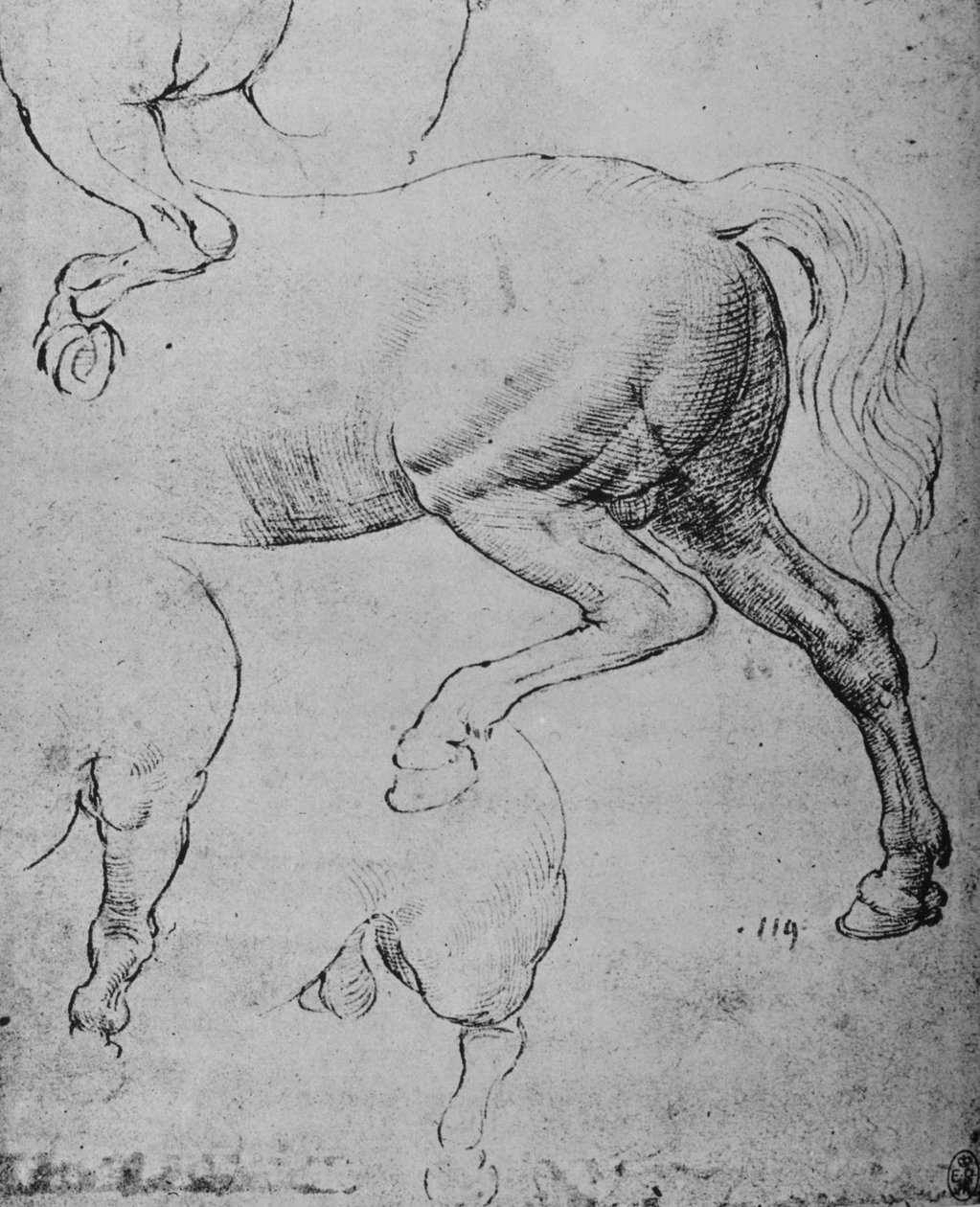 Studier av bakdelen och bakbenen på en häst, c1480 1945 av Leonardo da Vinci