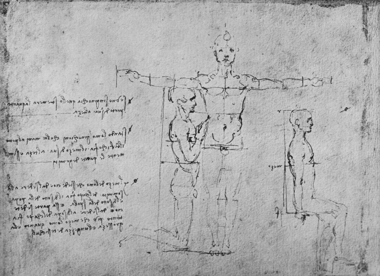 Studier av proportionerna mellan tre figurer, c1480 1945 av Leonardo da Vinci