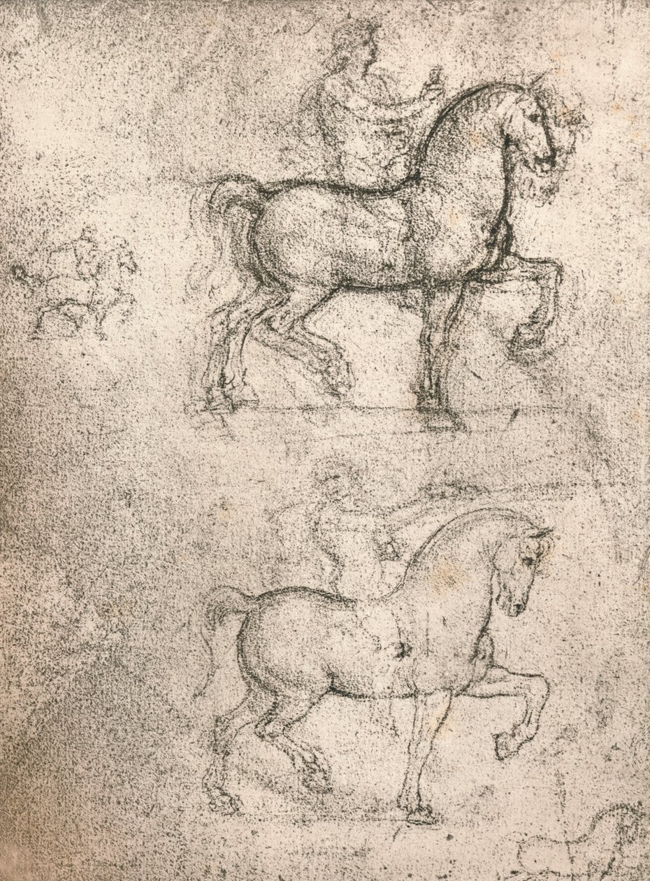 Studie för Sforza-monumentet, c1482-c1499 1883 av Leonardo da Vinci