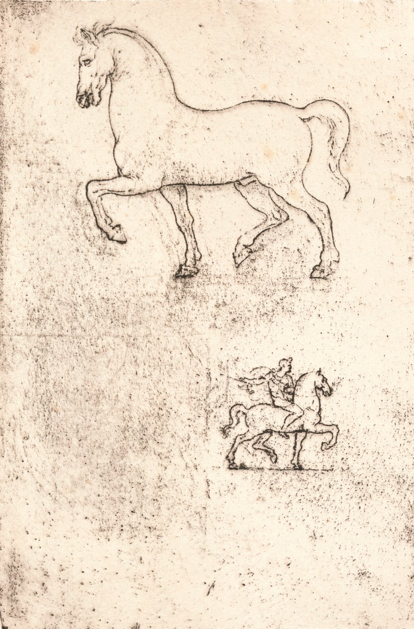 Studie för Sforza-monumentet, c1482-c1499 1883 av Leonardo da Vinci