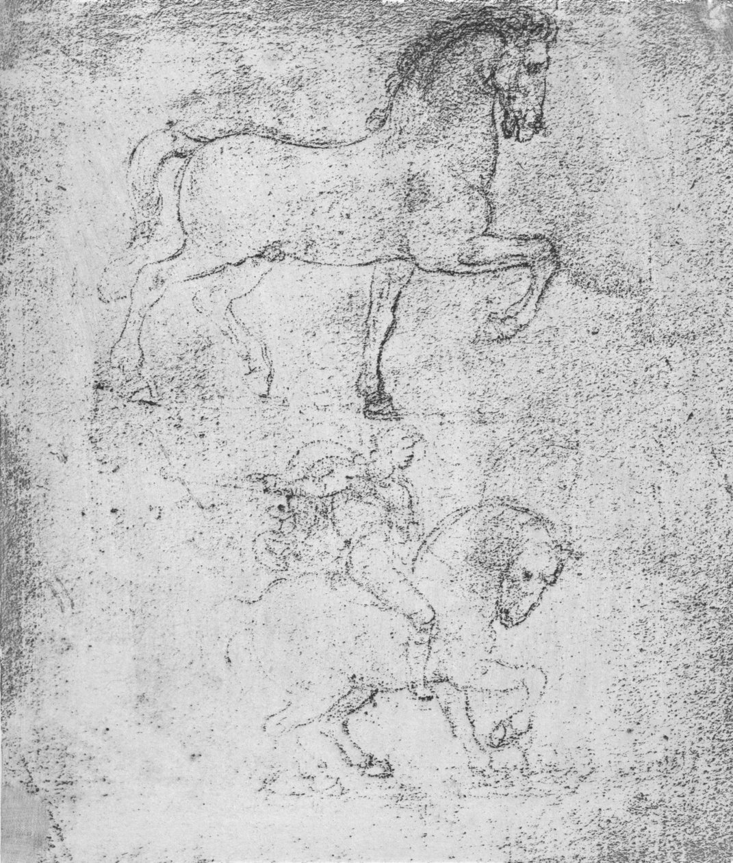 Studie för Sforza-monumentet, c1482-c1499 1883 av Leonardo da Vinci