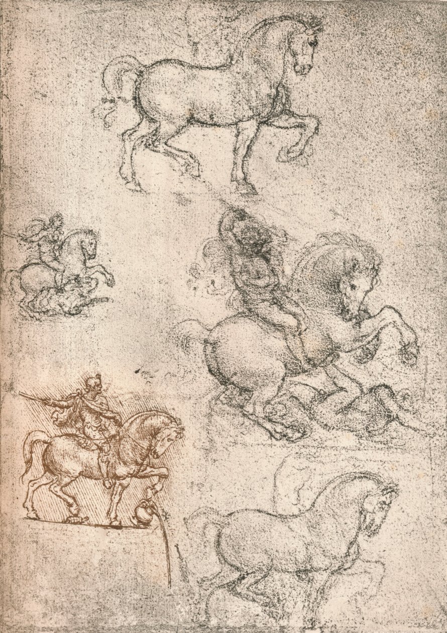 Studie för Sforza-monumentet, c1482-c1499 1883 av Leonardo da Vinci