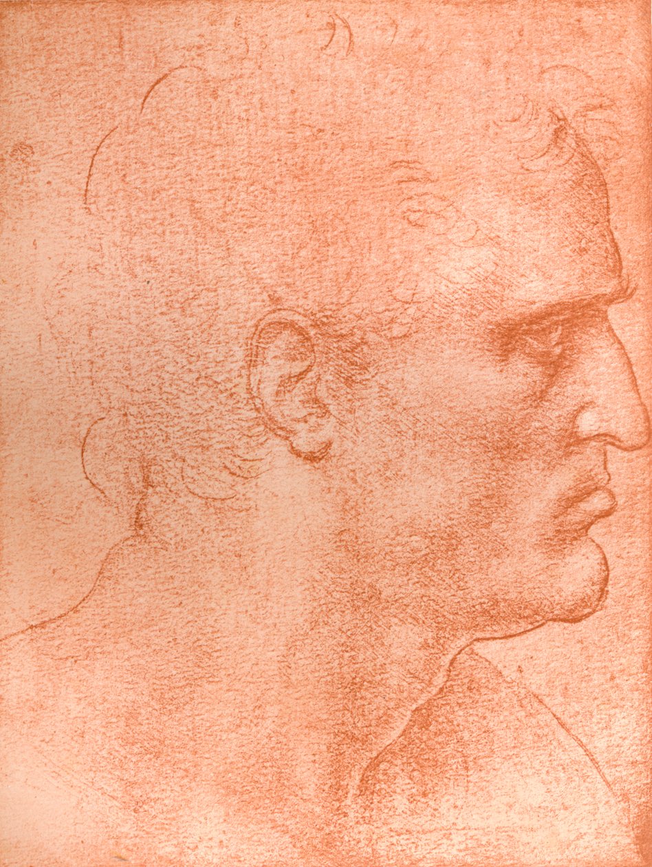 Studera för Matteus huvud i `Nattvarden`, c1494-c1499 1883. av Leonardo da Vinci