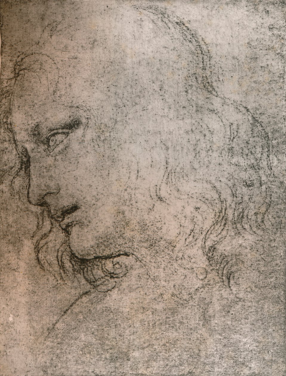 Studera för huvudet av Sankt Filip i `The Last Supper`, c1494-c1499 1883. av Leonardo da Vinci