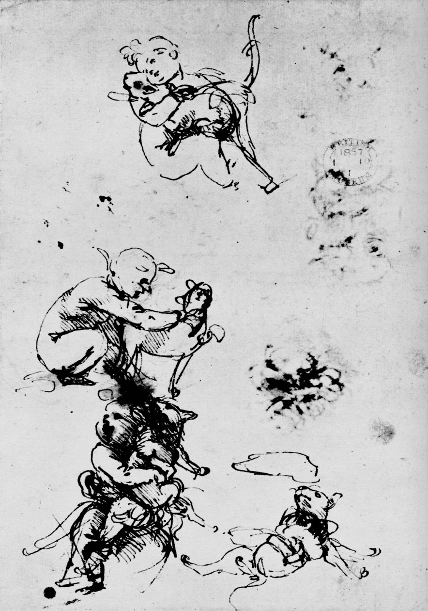 Studie av ett barn med en katt, 1478-1481 1945 av Leonardo da Vinci