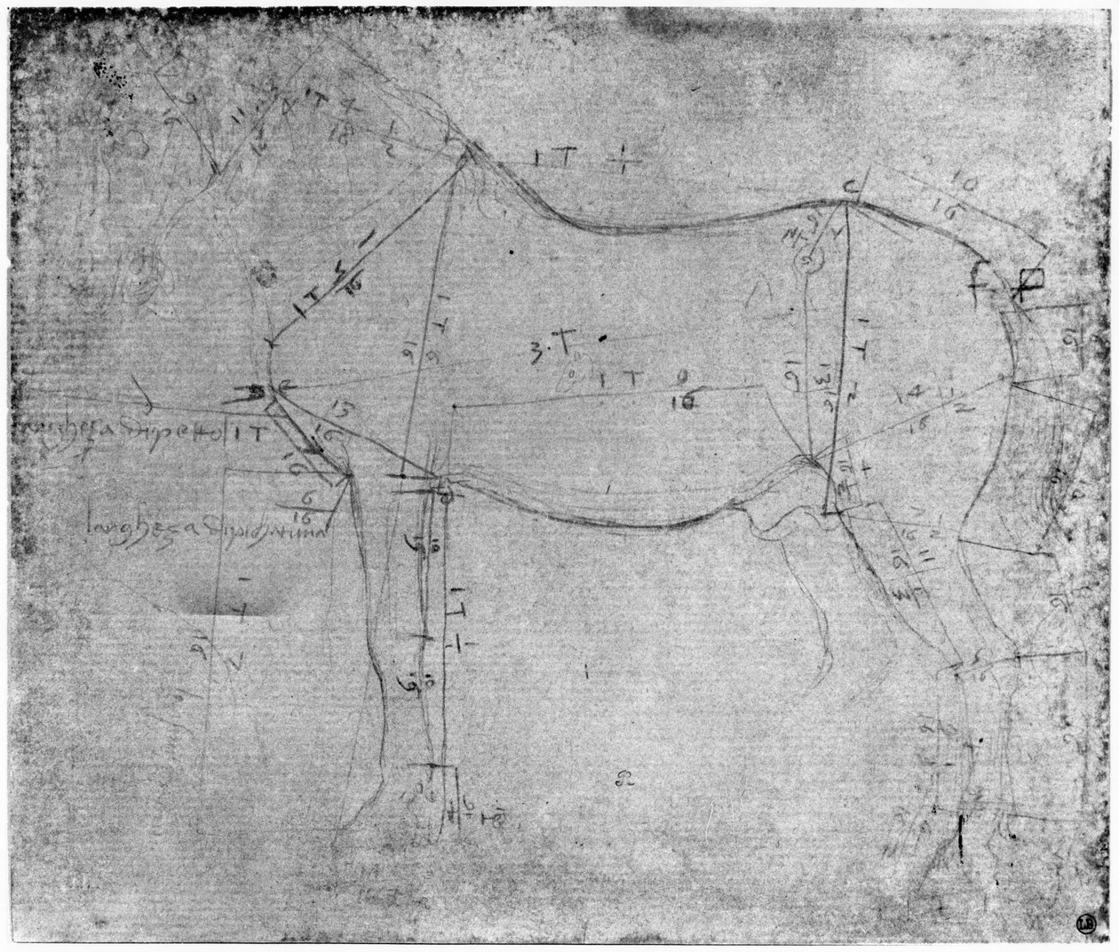 Studie av en häst (metallspets på papper) av Leonardo da Vinci