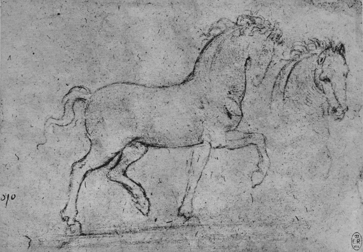 Studie av en häst och ett hästhuvud, c1480 1945 av Leonardo da Vinci