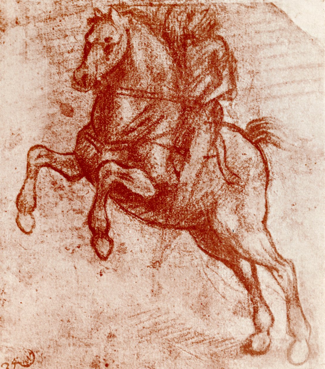 Studie av en riddare, av Leonardo De Vinci, 1913 av Leonardo da Vinci