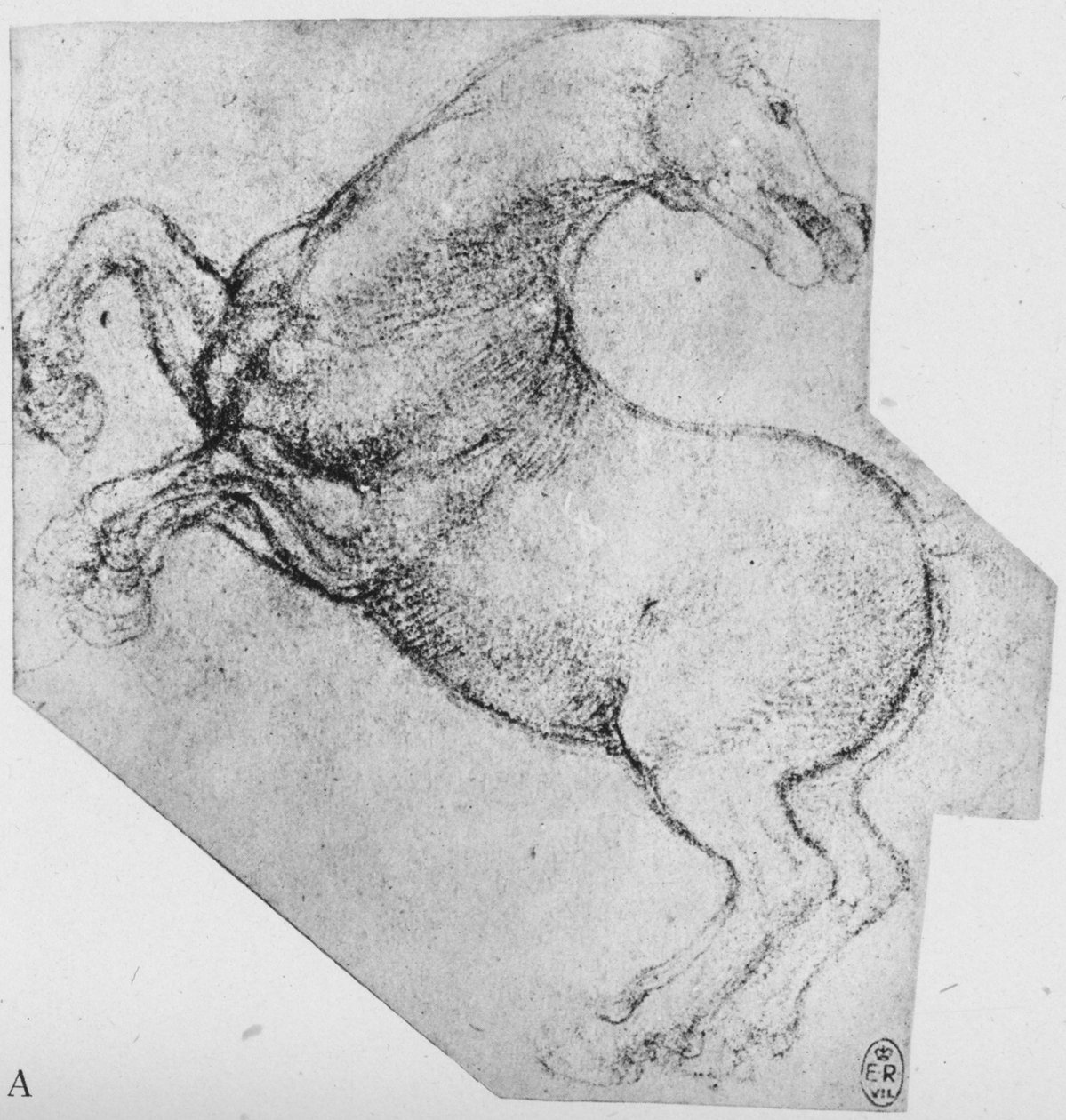Studie av en uppfödande häst, c1480 1945 av Leonardo da Vinci