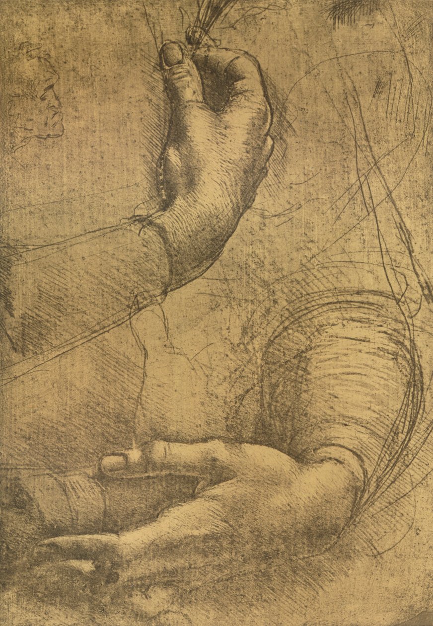 Studie av kvinnliga händer, c1472-c1519 1883 av Leonardo da Vinci