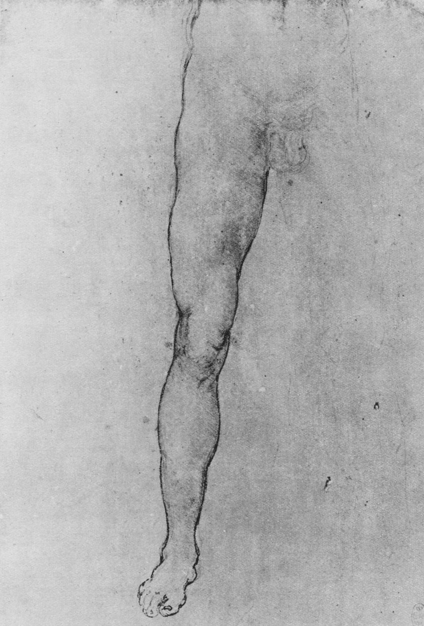 Studie av den nedre halvan av en naken man vänd mot fronten, c1480 1945 av Leonardo da Vinci