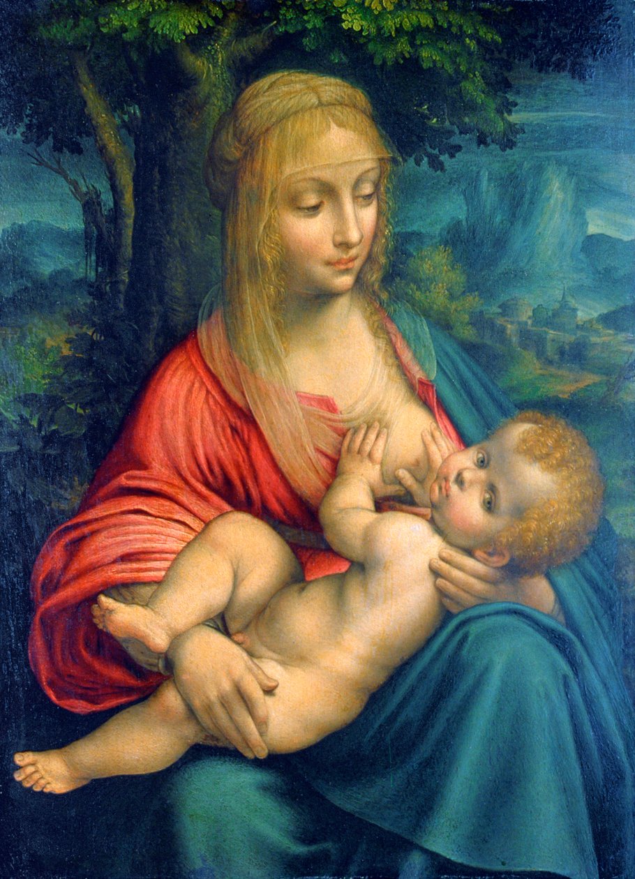 Jungfrun och barnet, c1511 av Leonardo da Vinci
