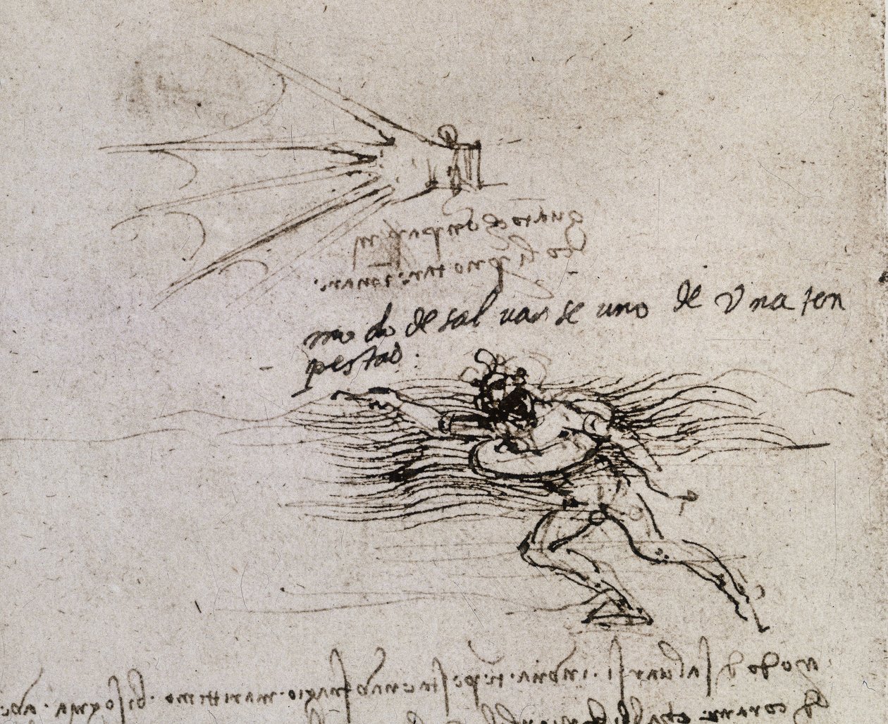 Palmen och bojen, Codex Atlantic av Leonardo da Vinci