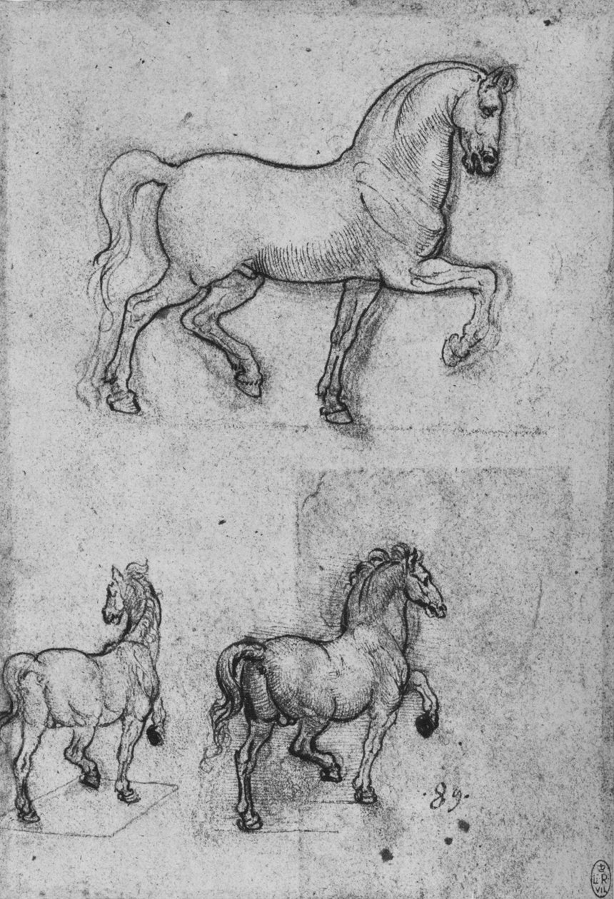 Tre studier av hästar, c1480 1945 av Leonardo da Vinci