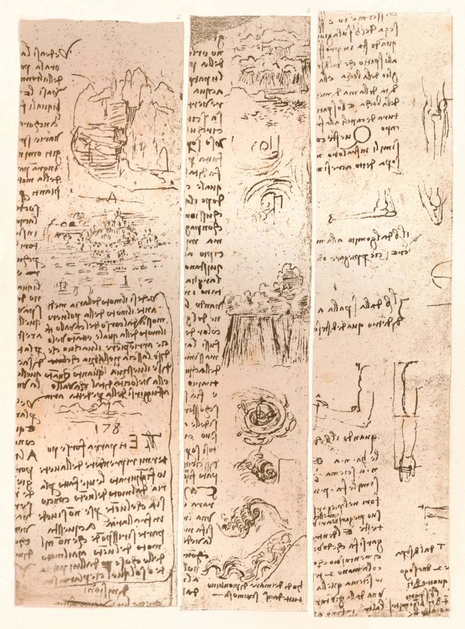 Tre ritningar, c1472-c1519 1883 av Leonardo da Vinci