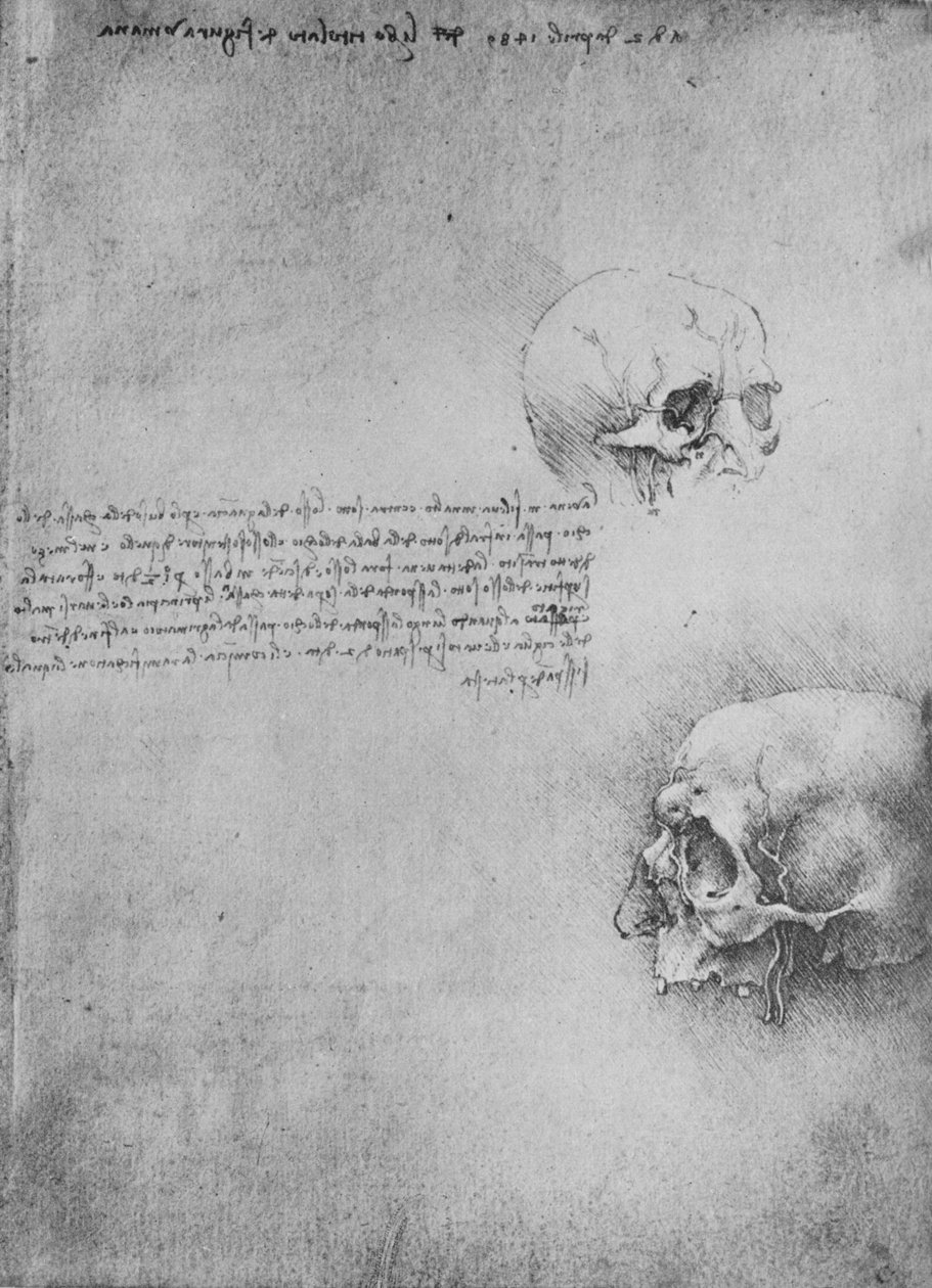Två teckningar av huvudets benstruktur, c1480 1945 av Leonardo da Vinci