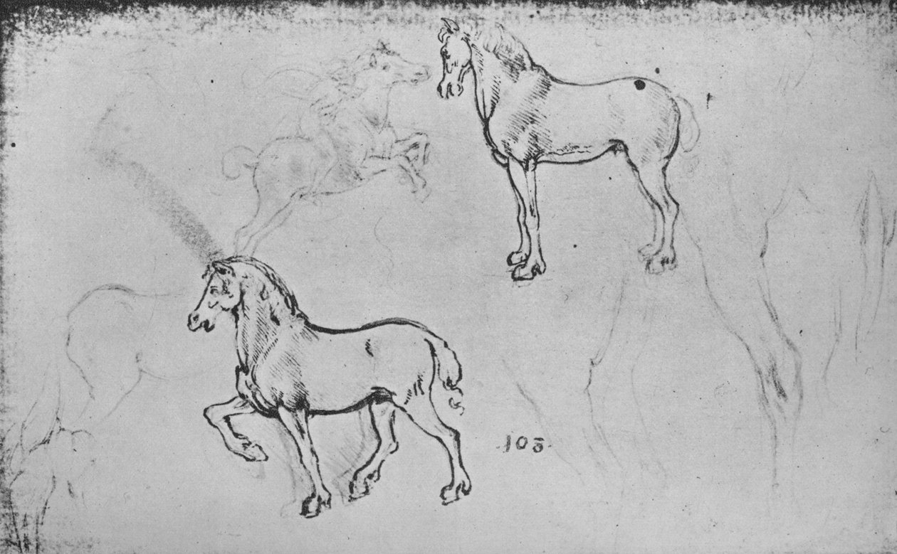 Två studier av hästar, en av en galopperande ryttare och andra av hästars ben, c1480 1945 av Leonardo da Vinci
