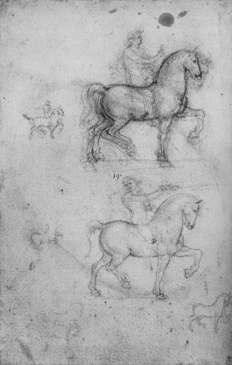 Två studier av hästar och ryttare och mindre studier av hästar, c1480 1945 av Leonardo da Vinci