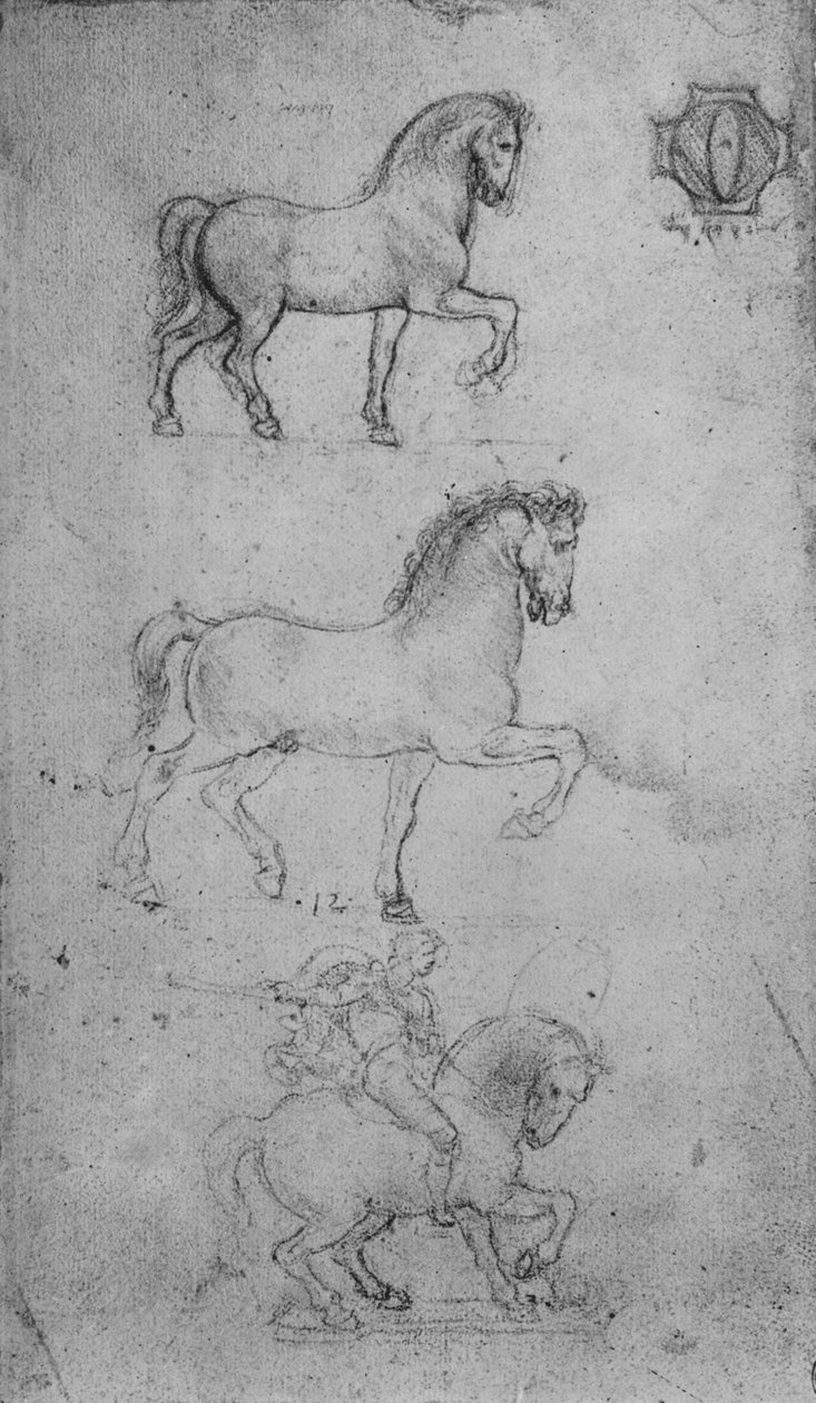 Två studier av en häst och en av en häst och ryttare, c1480 1945 av Leonardo da Vinci