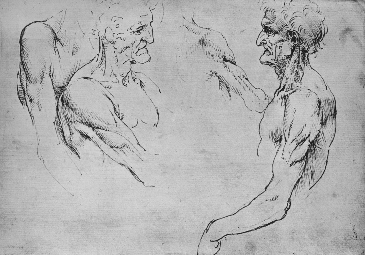 Två studier av den övre delen av en gammal man och två studier av vapen, c1480 1945 av Leonardo da Vinci