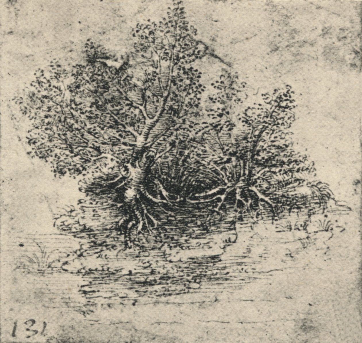 Två träd på stranden av en bäck, c1480 1945 av Leonardo da Vinci