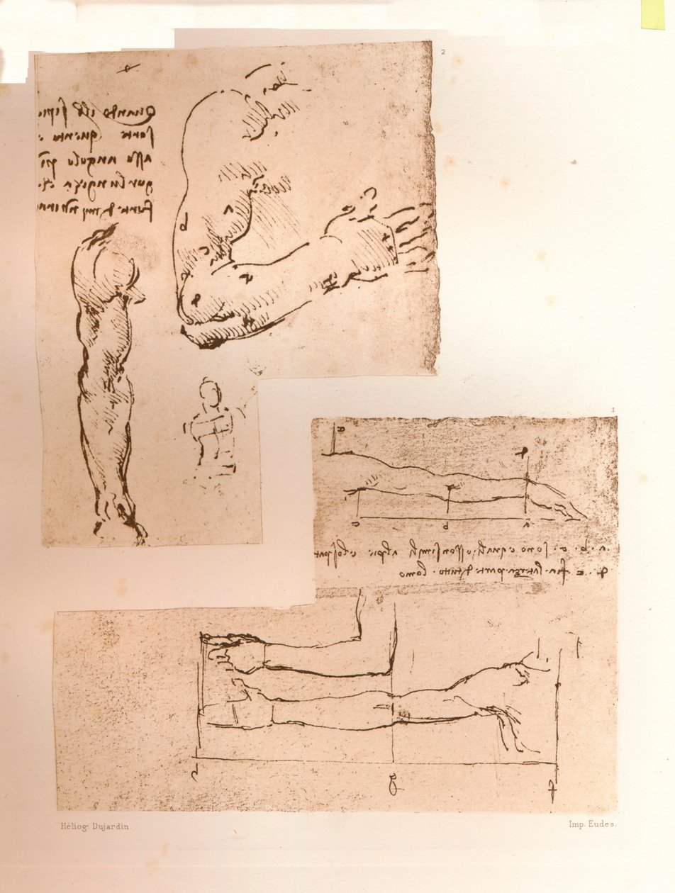 Två ritningar som illustrerar teorin om proportionerna av den mänskliga figuren, c1472-c1519 1883 av Leonardo da Vinci