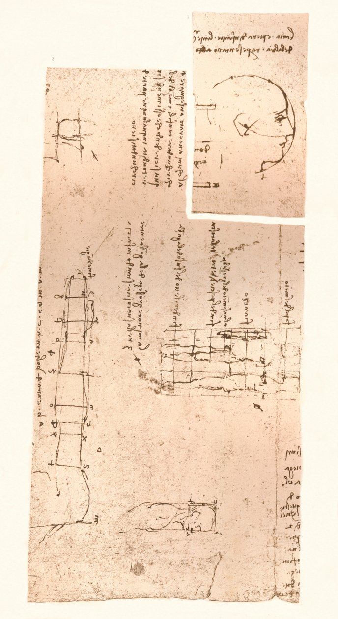 Två ritningar som illustrerar teorin om proportionerna av den mänskliga figuren, c1472-c1519 1883 av Leonardo da Vinci