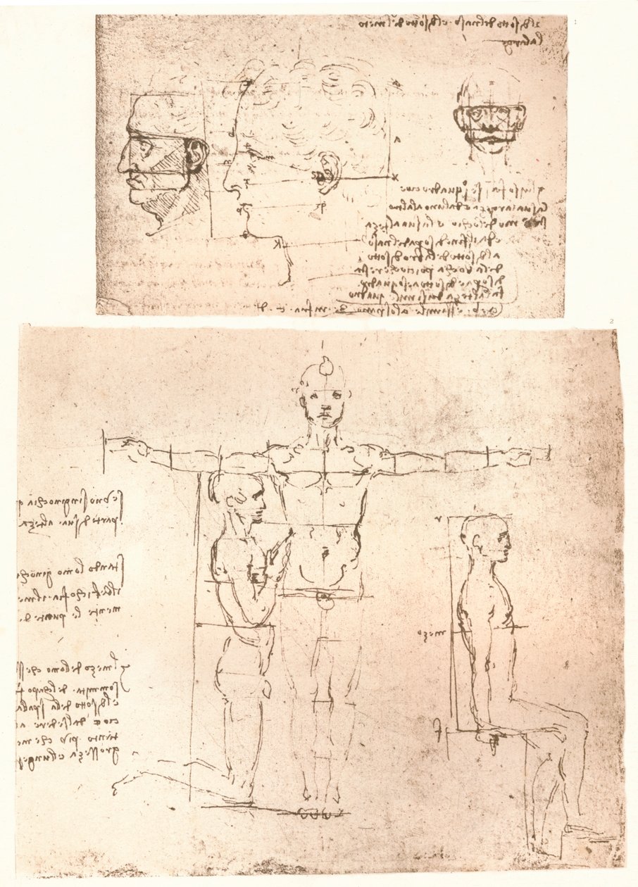 Två ritningar som illustrerar teorin om proportionerna av den mänskliga figuren, c1472-c1519 1883. av Leonardo da Vinci