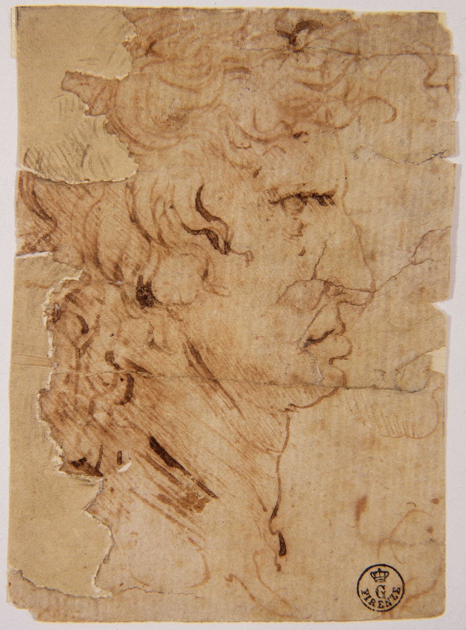 Okänd bild av Leonardo da Vinci