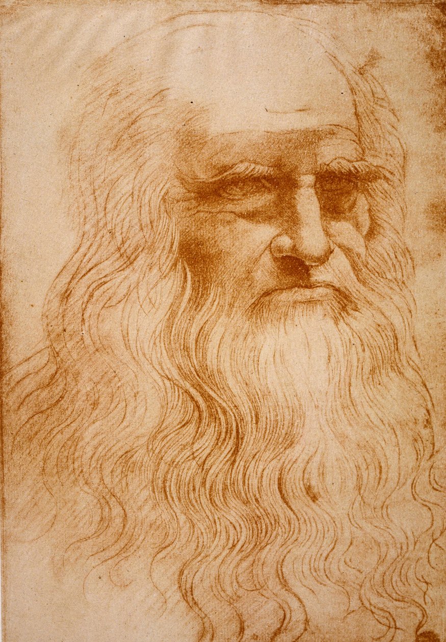Okänd bild av Leonardo da Vinci