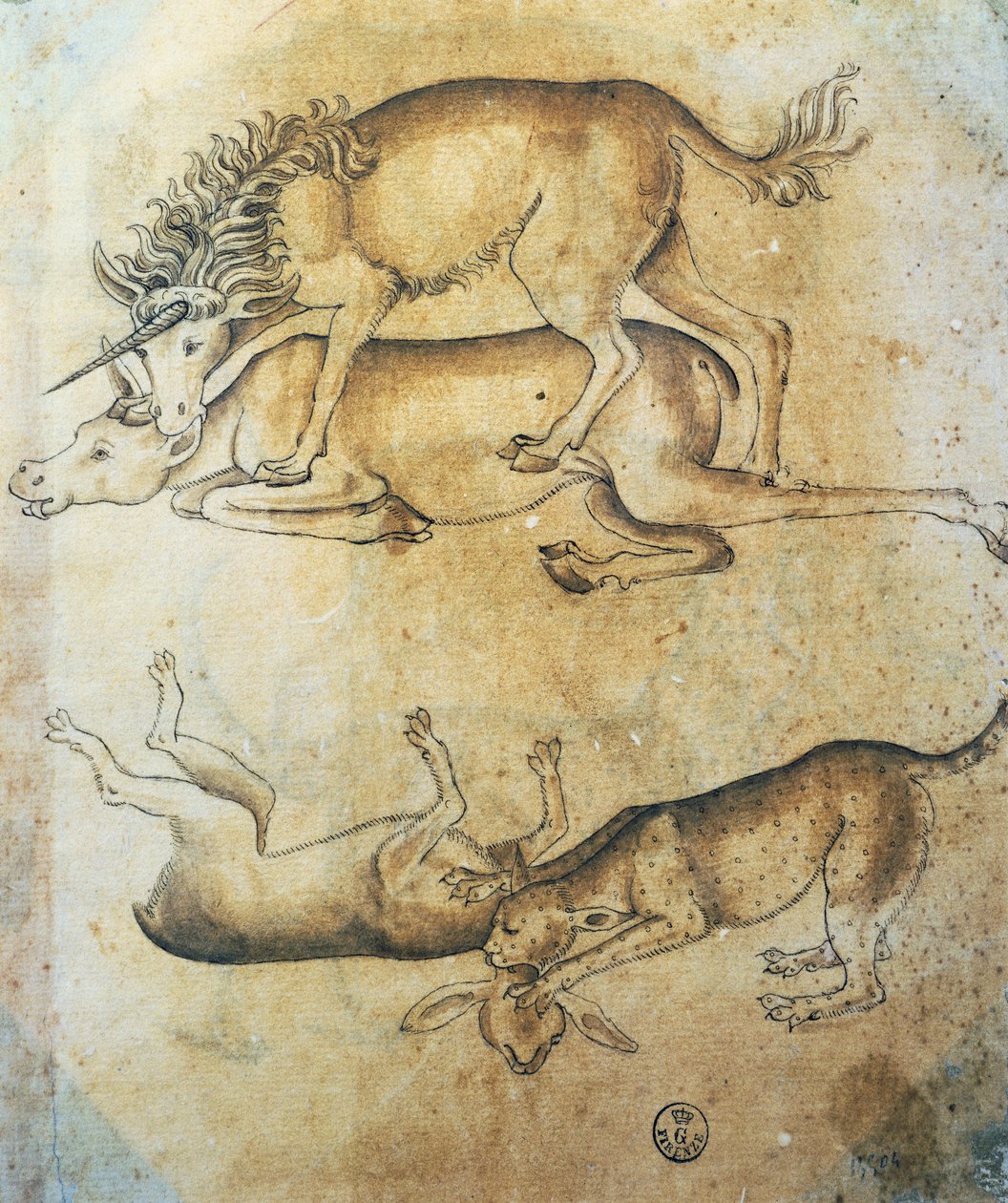 Enhörning attackerar en ko och leopard attackerar ett får, studie av djur, av Leonardo da Vinci (1452-1519), teckning av Leonardo da Vinci