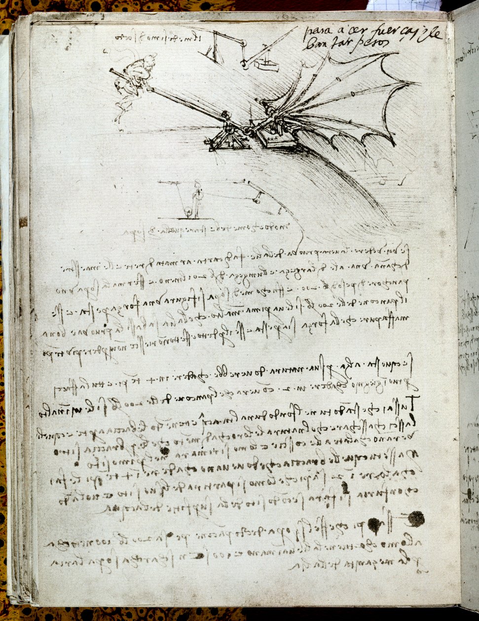 Vingträning. Flygande maskinritning. Manuskript av Leonard De Vinci (Leonardo da Vinci av Leonardo da Vinci