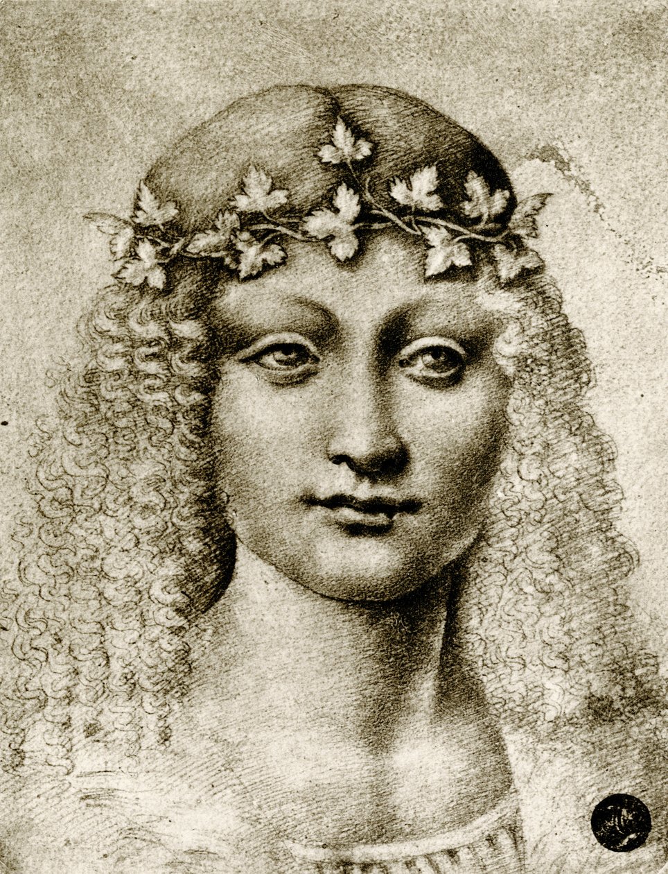 Huvudet av en flicka kransad med vinstockar av Leonardo da school of Vinci