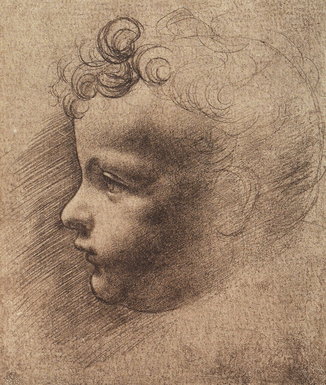 Huvudet av en liten pojke; teckning av Leonardo da Vinci. Louvren, Paris av Leonardo da school of Vinci