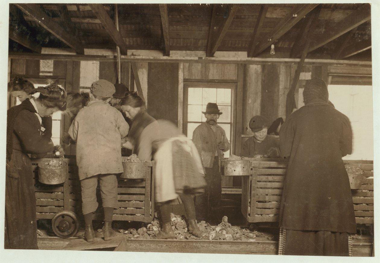 10-åriga Mike Murphy, 7-åriga Annie Healy och 10-åriga Ross Healy (som har arbetat i 2 år) i skuggboden vid Alabama Canning Co, Bayou La Batre, Alabama, 1911 av Lewis Wickes Hine
