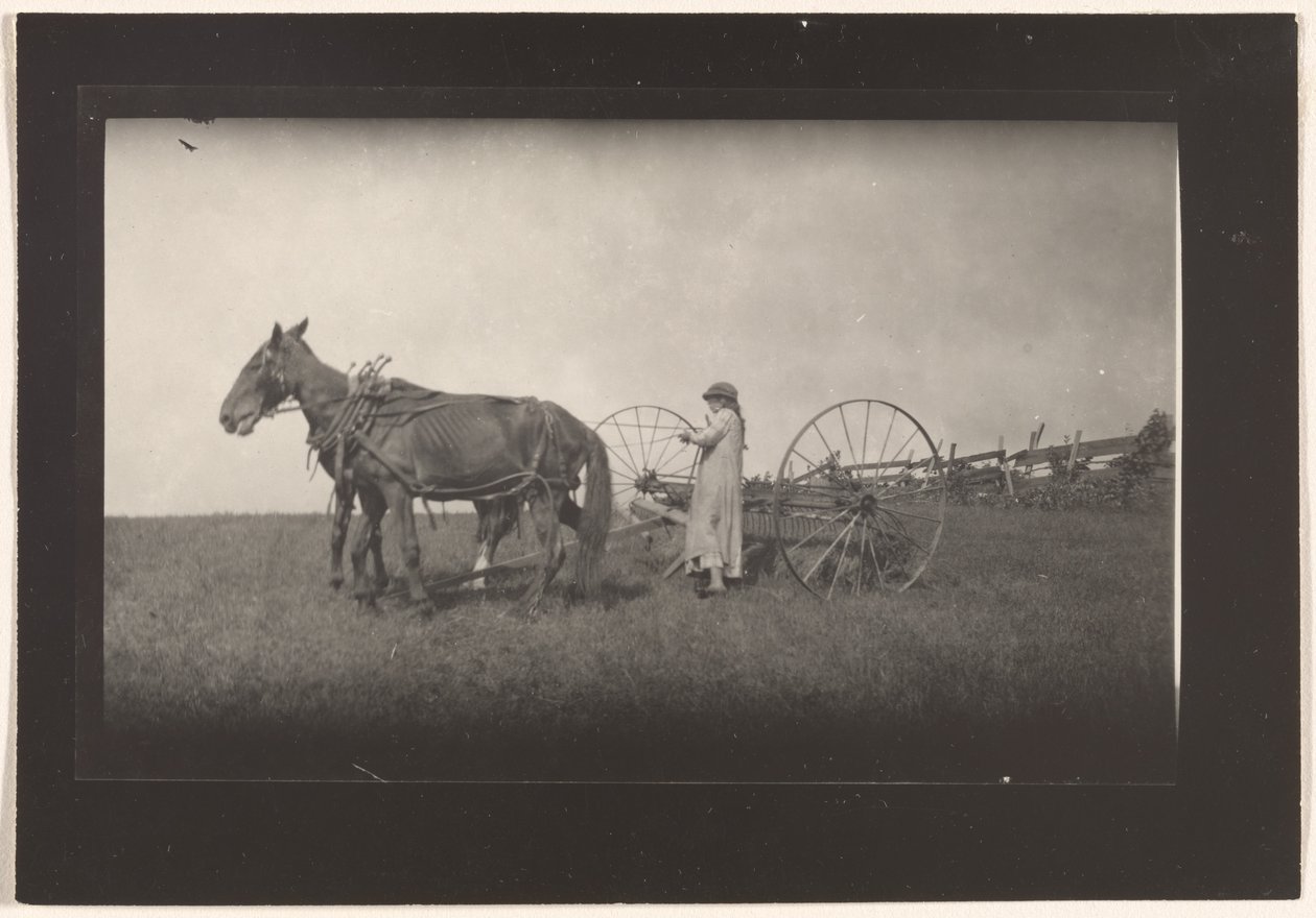 [Bondgårdsscen, Massachusetts] av Lewis W. Hine