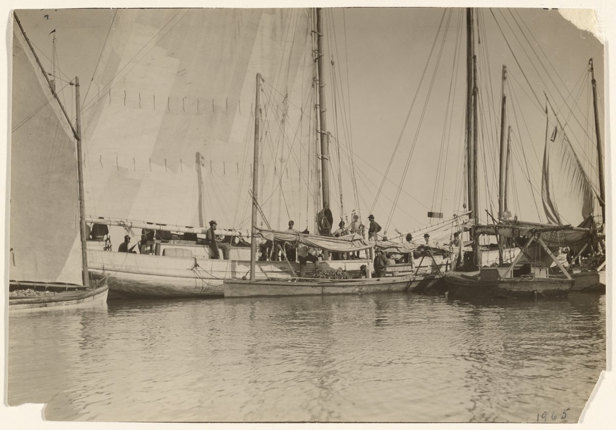 [Ostronbåtar, Mobile Bay, Alabama] av Lewis W. Hine