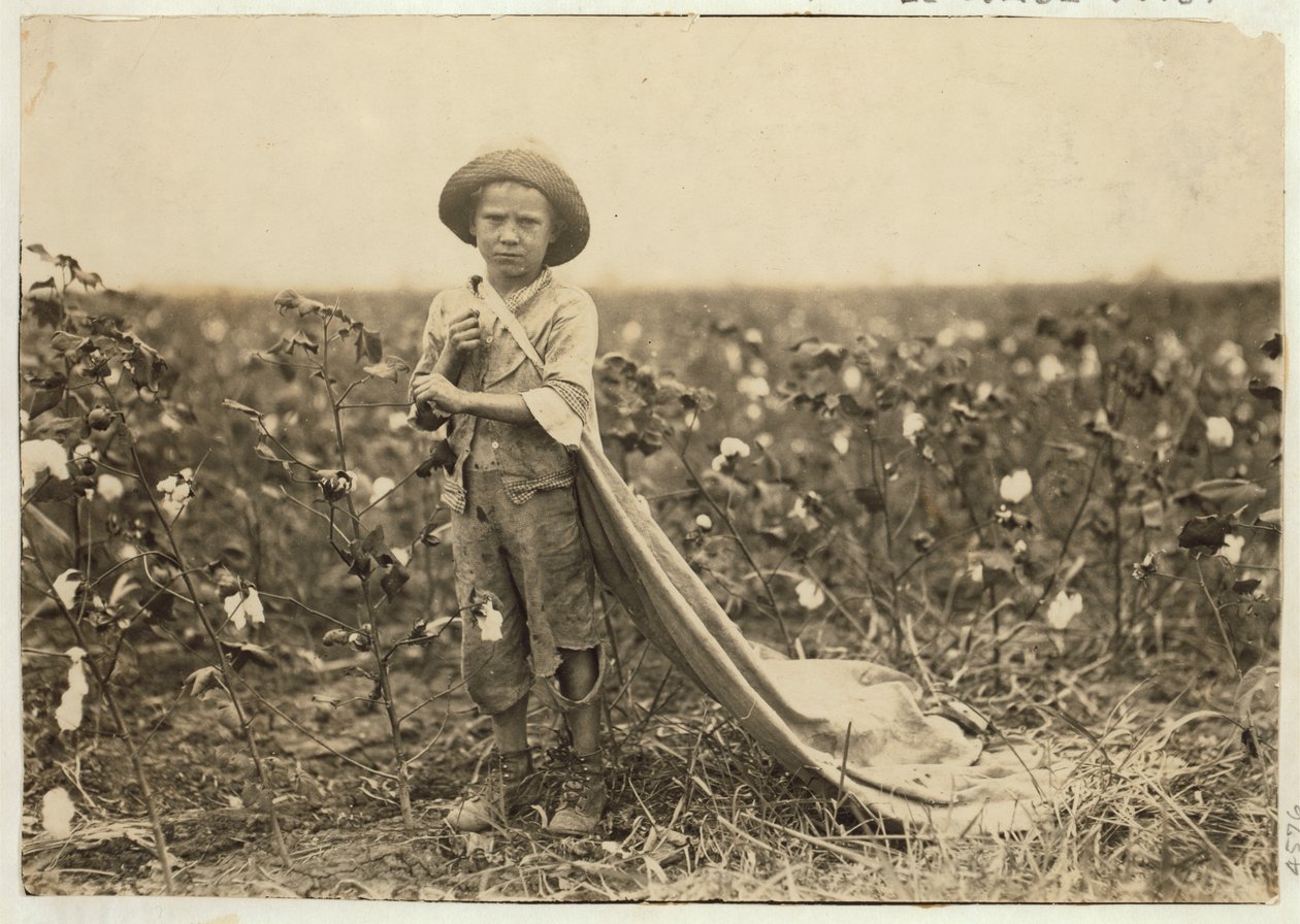6-åriga Warren Frakes med cirka 20 pund bomull i sin väska i Comanche County, Oklahoma, 1916 av Lewis Wickes Hine