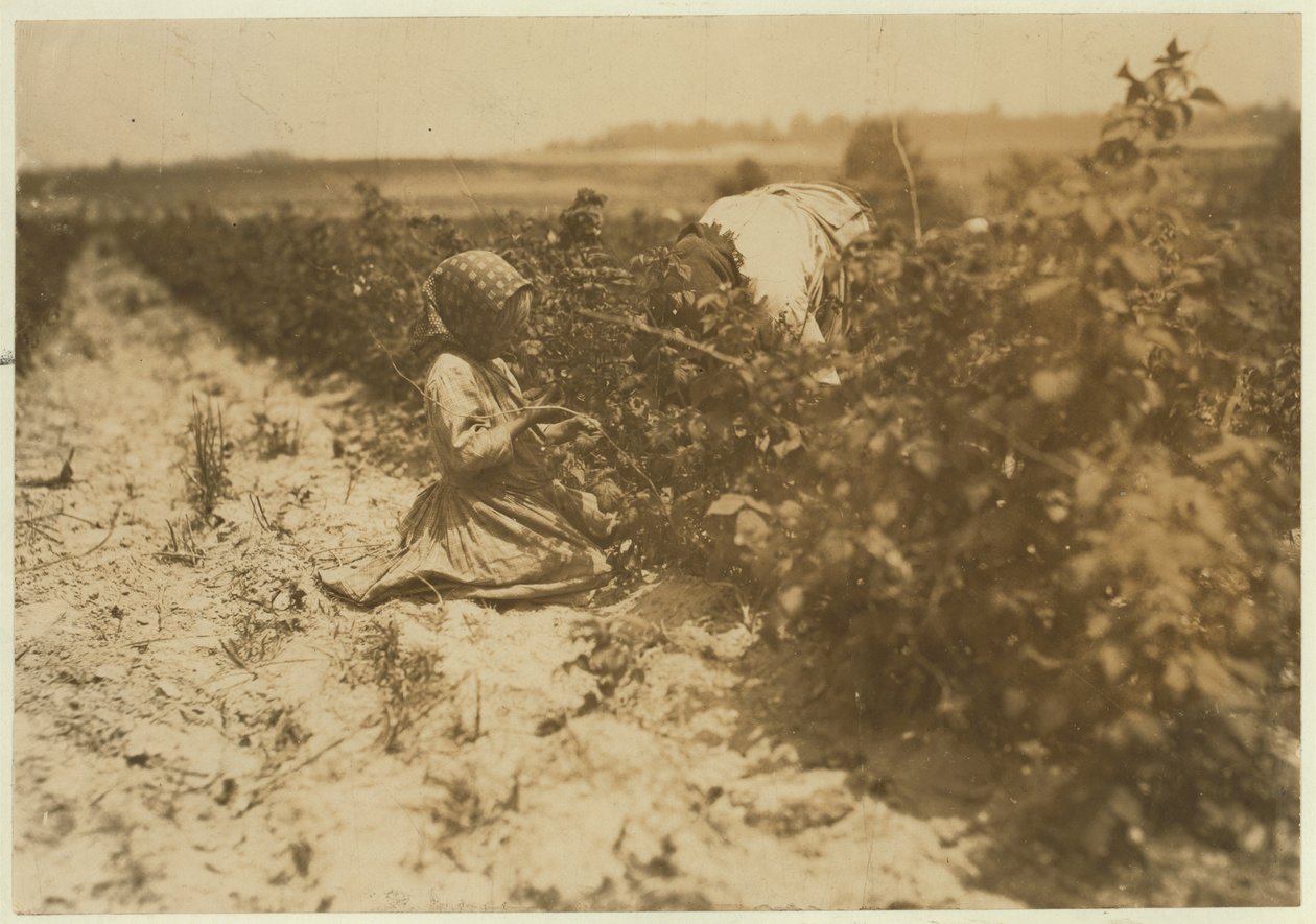 En sexårig polsk flicka plockade bär hela dagen med sin familj (Scholtz) vid Rock Creek nära Baltimore, Maryland, 1909 av Lewis Wickes Hine
