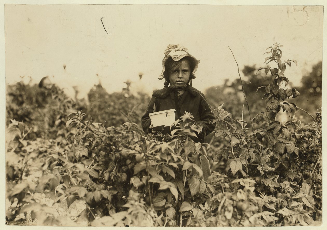 Annie Bissie plockar bär på fälten nära Baltimore, Maryland, 1909. av Lewis Wickes Hine