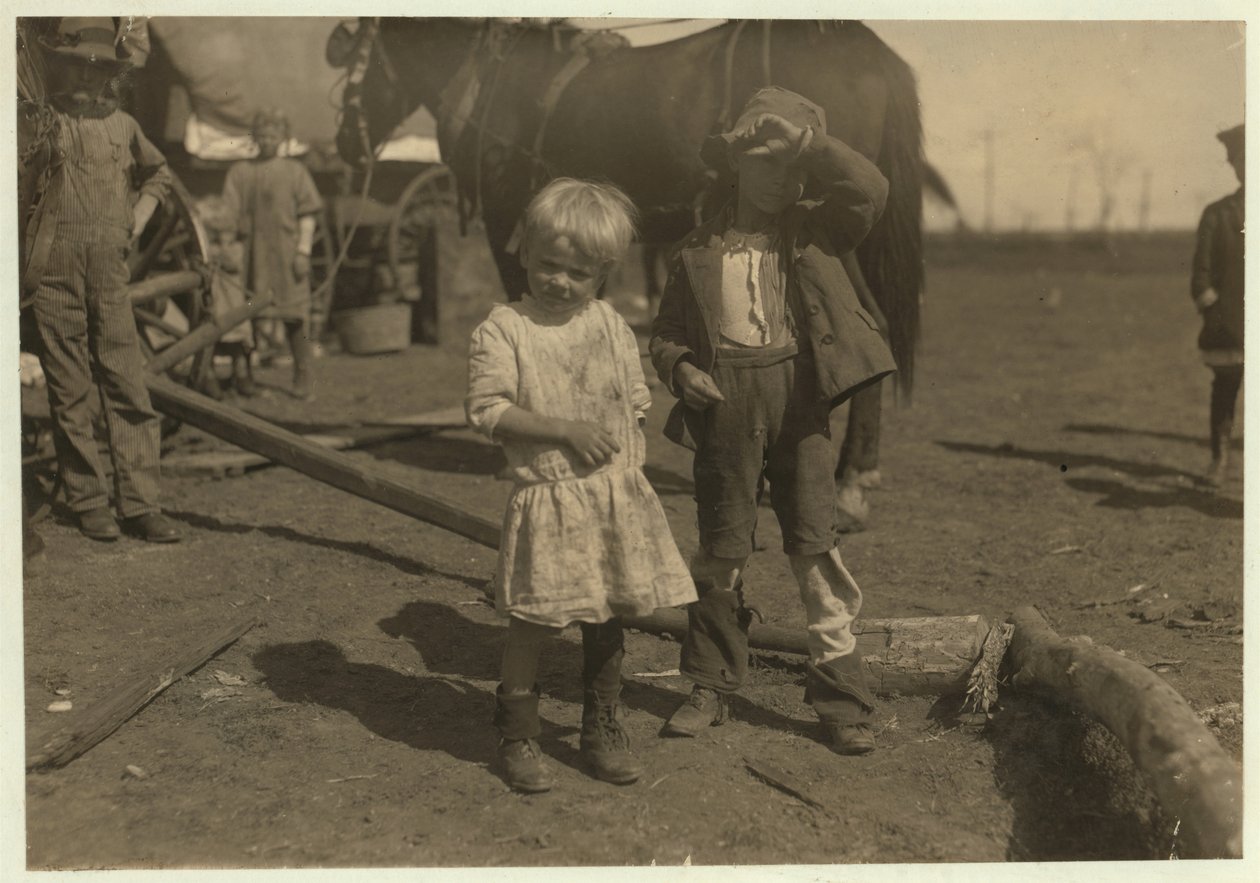Bomullsplockare på 4 år som plockar 15 pund om dagen regelbundet och 7-åring som plockar 50. De flyttar från gård till gård och bor i emigrantvagnar, McKinney, Texas, 1913 av Lewis Wickes Hine