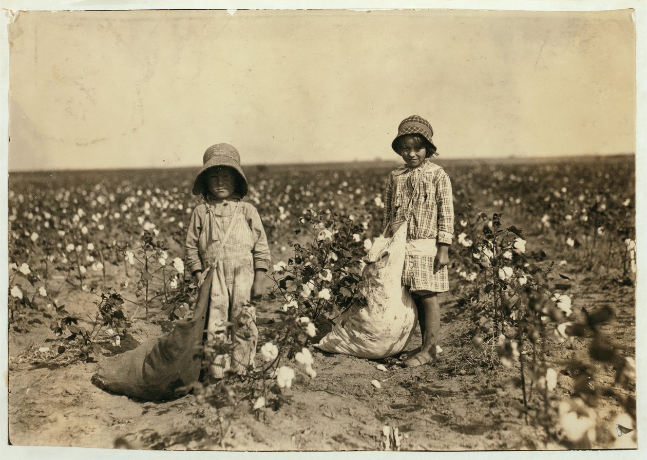 Jewel och Harold Walker, 6 och 5 år gamla, plockar 20 till 25 pund bomull om dagen i Geronimo, Comanche County Oklahoma, 1916 av Lewis Wickes Hine