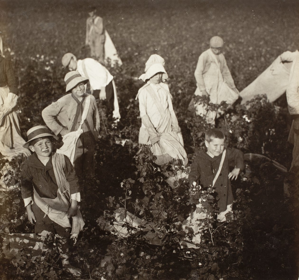 Nära Waxahachie, Texas av Lewis Wickes Hine
