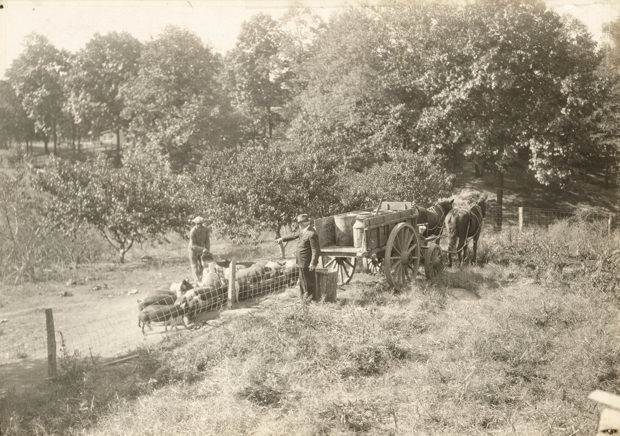 Utan titel, ca. 1935. av Lewis Wickes Hine