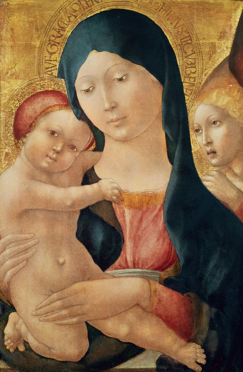 Jungfru och barn med en ängel, ca 1468-70 (tempera på panel) av Liberale da Verona